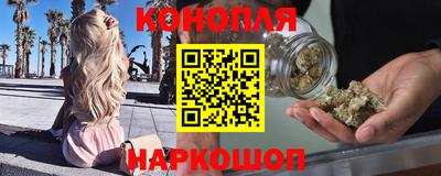 не бодяженный Гатчина