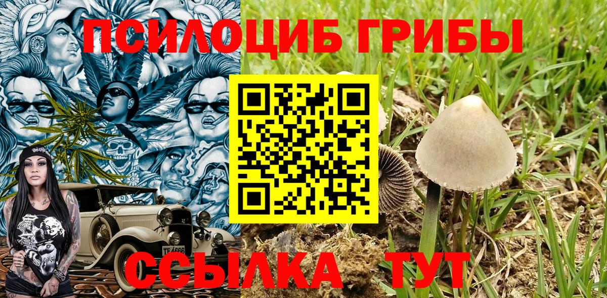 Галлюциногенные грибы GOLDEN TEACHER  Псилоцибиновые грибы ЛСД  купить наркотик  Вход с VPN  Назарово 